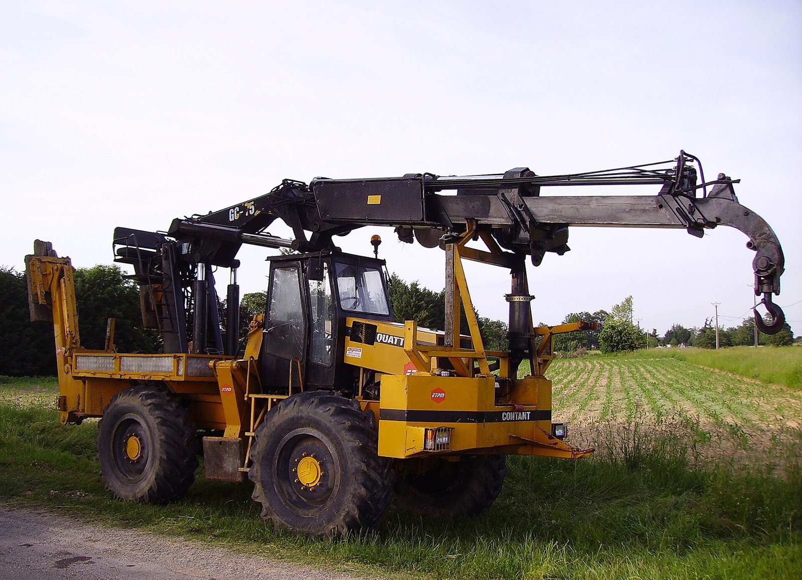 Mobile crane with telescopic lifting arm for industrial rental service